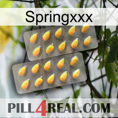 Springxxx cialis2